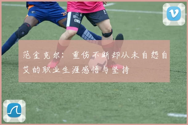 范金克尔：重伤不断却从未自怨自艾的职业生涯感悟与坚持