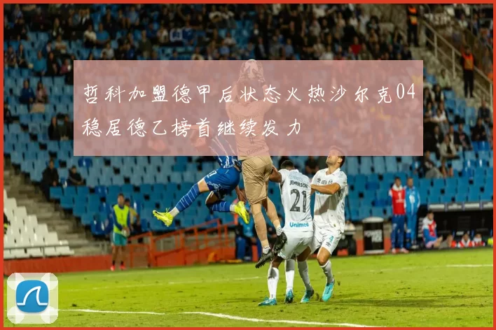 哲科加盟德甲后状态火热沙尔克04稳居德乙榜首继续发力